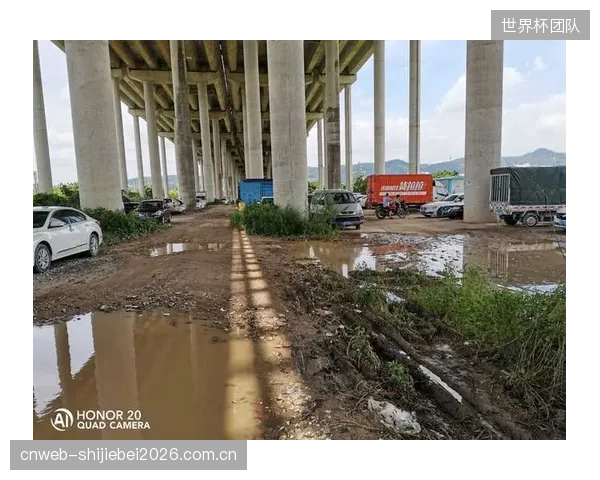 新版《体育场地公共安全条例》出台，揭示了高架桥下空间安全的第一责任方